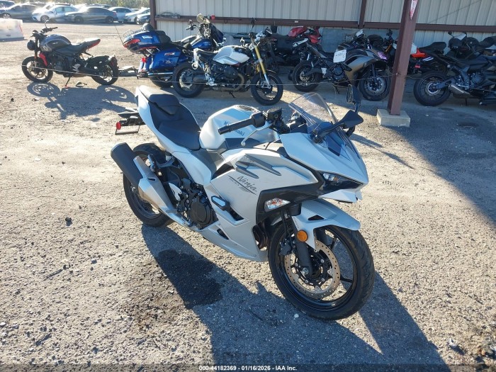 Kawasaki Ninja 2025 VIN ML5EXGG17SDA70354
