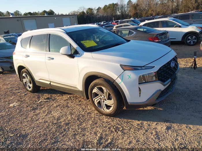 Hyundai Santa fe 2023 VIN 5NMS24AJ4PH540821