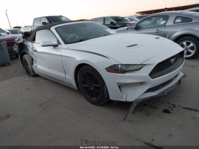 Ford Mustang 2019 1FATP8UH5K5123506