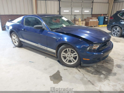 Ford Mustang 2012 1ZVBP8AMXC5258292