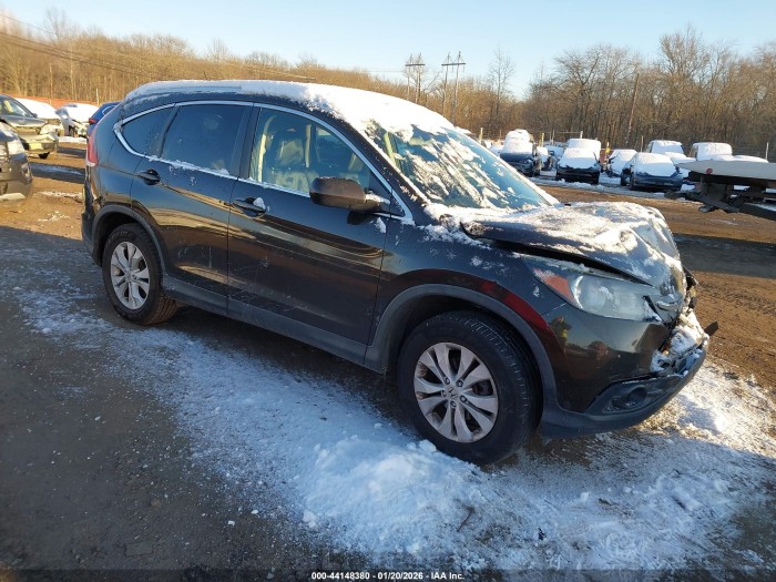 Honda Cr-v 2013 VIN 5J6RM4H70DL067667