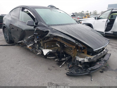 Tesla Model y 2026 7SAYGDEE3TF366599