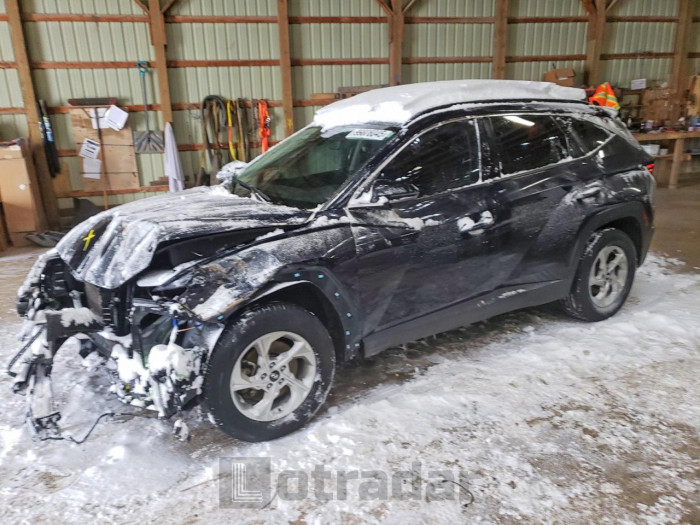Hyundai Tucson 2023 VIN KM8JCCAE3PU195744