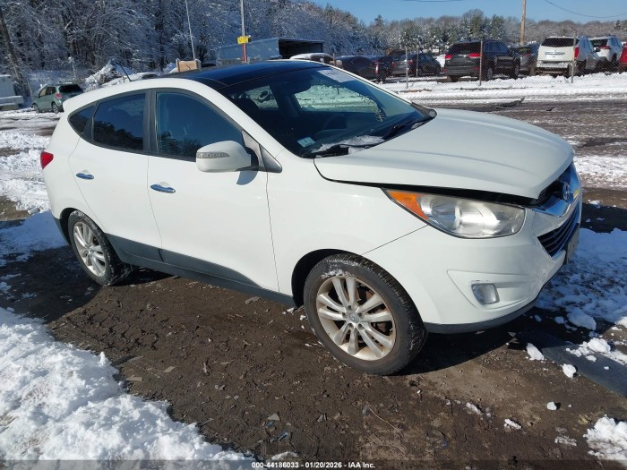 Hyundai Tucson 2012 VIN KM8JUCAC4CU444347