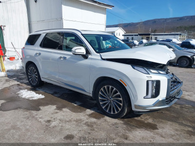 Hyundai Palisade 2025 KM8R7DGE1SU926037