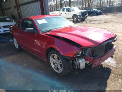 Ford Mustang 2014 1ZVBP8AM7E5228251