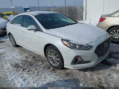 Hyundai Sonata 2019 5NPE24AF8KH767532