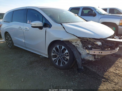 Honda Odyssey 2025 5FNRL6H92SB012319