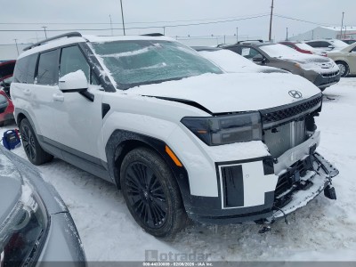 Hyundai Santa fe 2026 5NMP5DG17TH096641