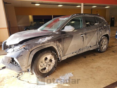 Hyundai Tucson 2024 KM8JBCDEXRU278086