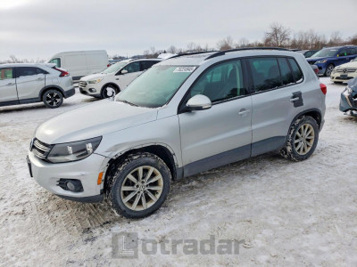 Volkswagen Tiguan 2014 VIN WVGJV3AX2EW505900