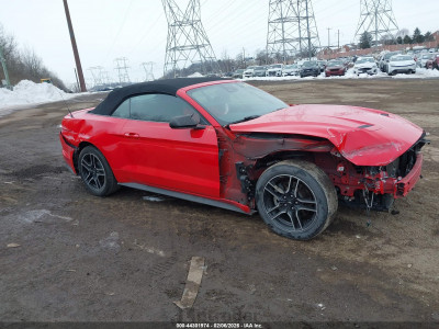 Ford Mustang 2021 1FATP8UH3M5115956