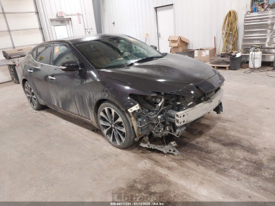 Nissan Maxima 2016 1N4AA6AP2GC422771