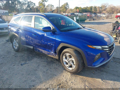 Hyundai Tucson 2023 5NMJB3AEXPH248325