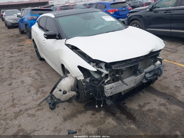 Nissan Maxima 2019 VIN 1N4AA6AV6KC379446