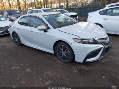 Toyota Camry 2023 4T1G31AK5PU057773