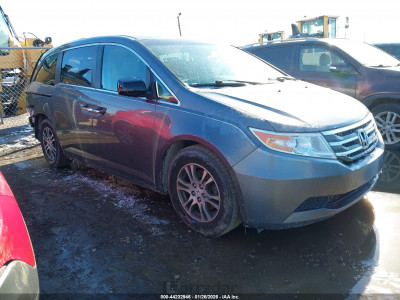 Honda Odyssey 2013 5FNRL5H62DB056128