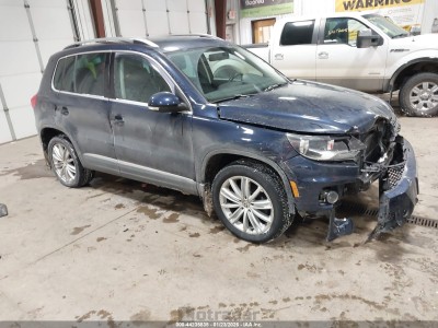 Volkswagen Tiguan 2013 WVGBV3AX9DW612980