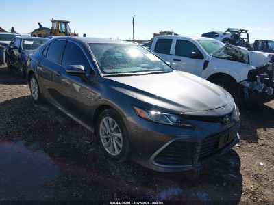 Toyota Camry 2023 4T1C11AK2PU828114