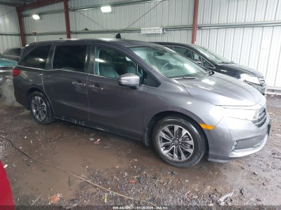 Honda Odyssey 2024 VIN 5FNRL6H66RB042004