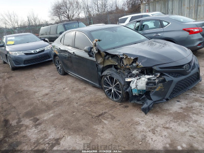 Toyota Camry 2019 4T1B11HK0KU245762