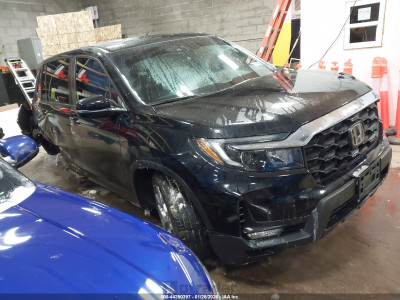 Honda Passport 2023 5FNYF8H50PB035813
