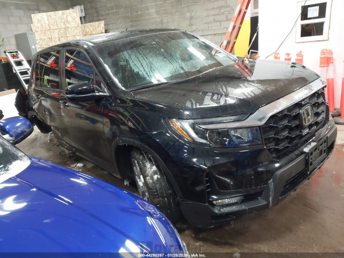 Honda Passport 2023 VIN 5FNYF8H50PB035813