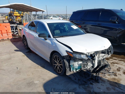 Toyota Camry 2023 4T1G31AK2PU615742