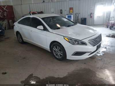 Hyundai Sonata 2017 5NPE24AF7HH469580