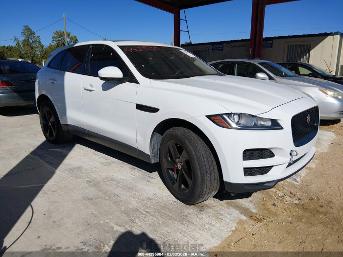 Jaguar F-pace 2019 VIN SADCJ2FN4KA391244