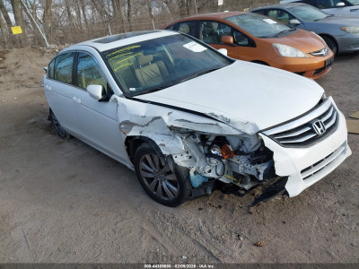 Honda Accord 2012 1HGCP2F89CA223087