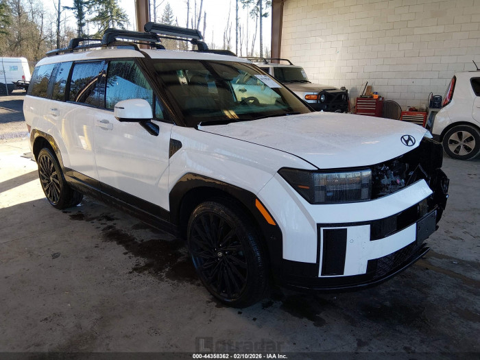 Hyundai Santa fe 2025 VIN 5NMP5DGL7SH108948