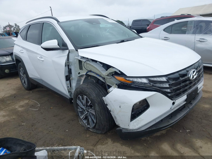 Hyundai Tucson 2024 VIN KM8JBCD12RU148347