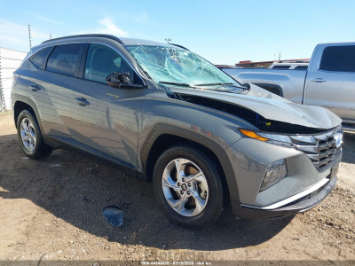 Hyundai Tucson 2024 5NMJBCDE3RH330007
