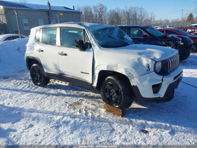 Jeep Renegade 2019 ZACNJBAB6KPJ83817