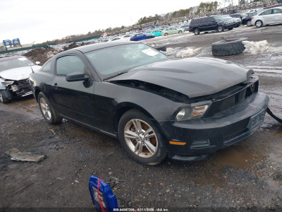 Ford Mustang 2012 1ZVBP8AM8C5234203