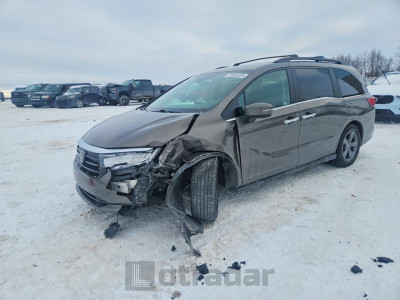 Honda Odyssey 2022 5FNRL6H56NB019968