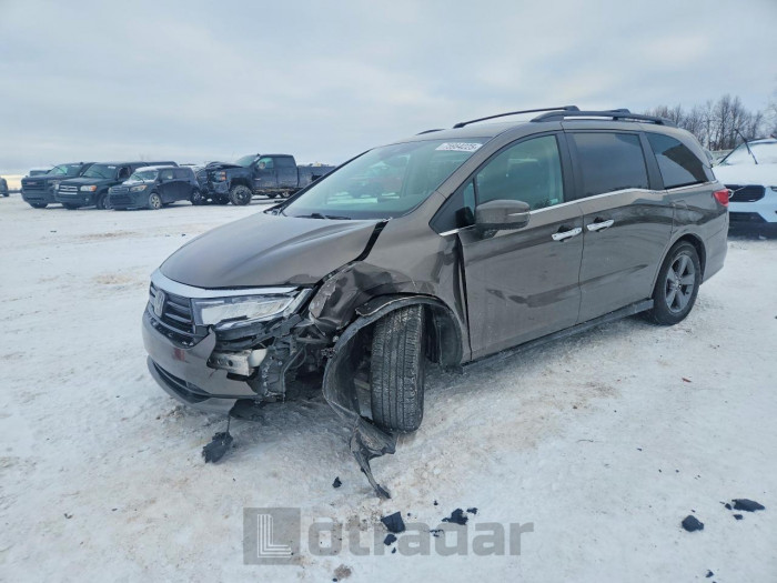 Honda Odyssey 2022 VIN 5FNRL6H56NB019968