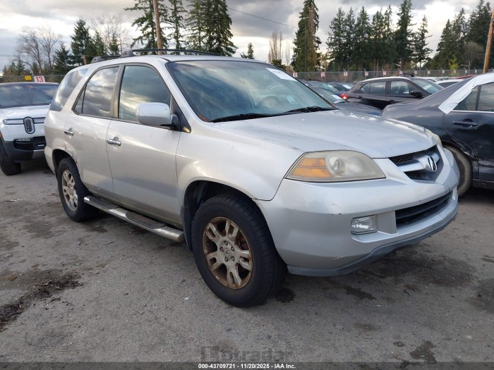 Acura Mdx 2004 VIN 2HNYD189X4H519018