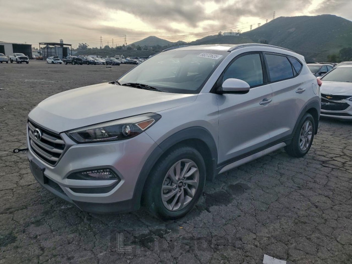 Hyundai Tucson 2017 VIN KM8J33A45HU534450