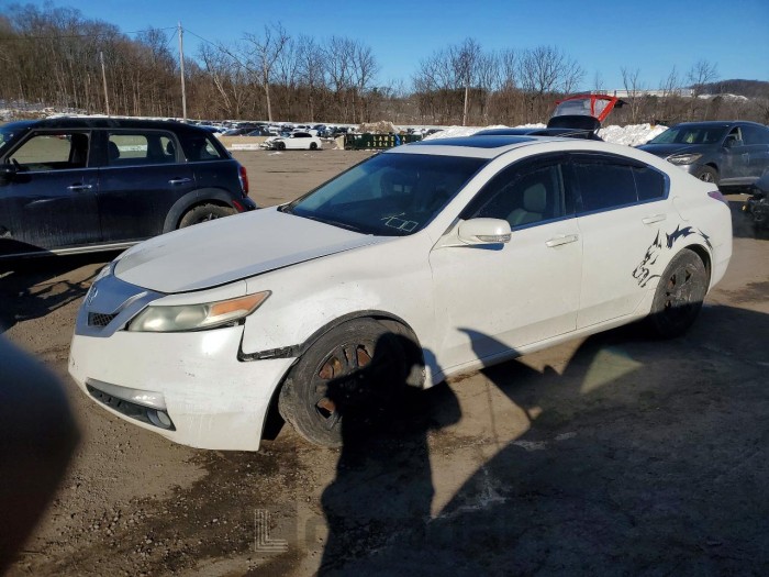 Acura Tl 2010 VIN 19UUA8F28AA009466