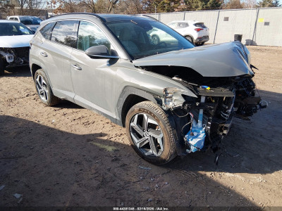 Hyundai Tucson 2024 5NMJECDE2RH347792