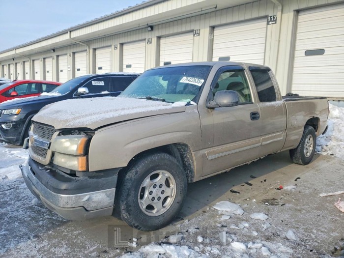 Chevrolet Silverado 1500 2004 VIN 2GCEC19T841125421