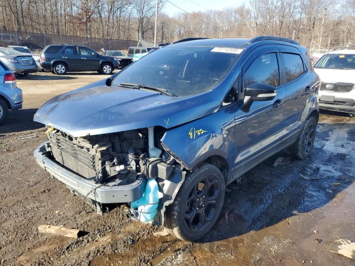 Ford Ecosport 2021 VIN MAJ6S3JLXMC448979