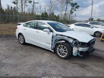 Ford Fusion 2019 3FA6P0MU7KR137111