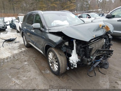 Hyundai Palisade 2020 KM8R5DHE6LU128610