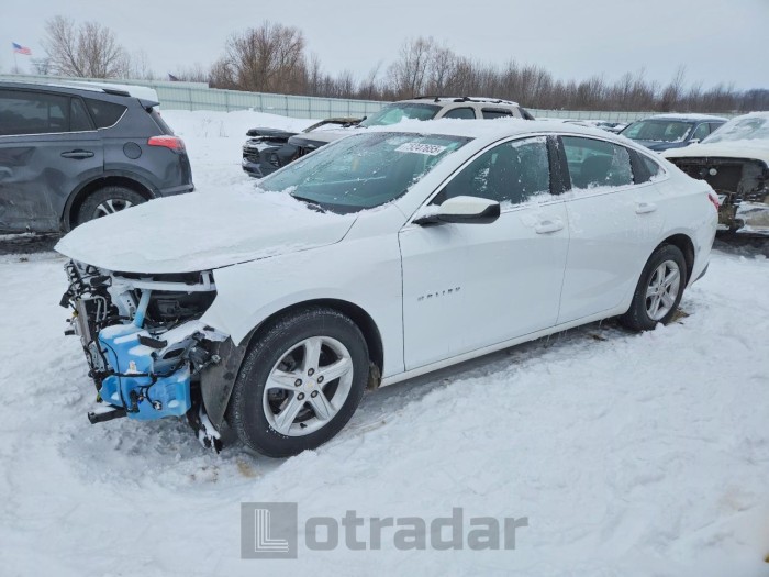 Chevrolet Malibu 2024 VIN 1G1ZB5ST5RF156849