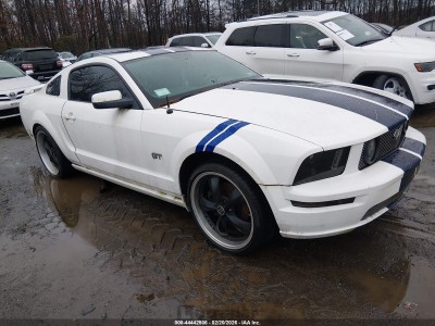 Ford Mustang 2006 VIN 1ZVFT82H665165434
