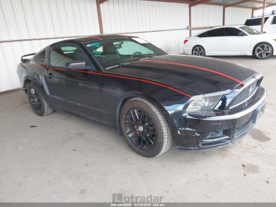 Ford Mustang 2014 1ZVBP8AM4E5313757