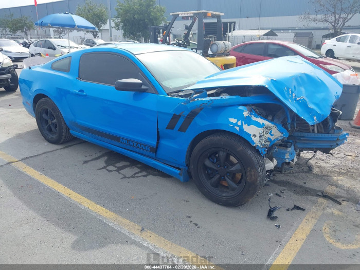 Ford Mustang 2013 VIN 1ZVBP8AM8D5203521